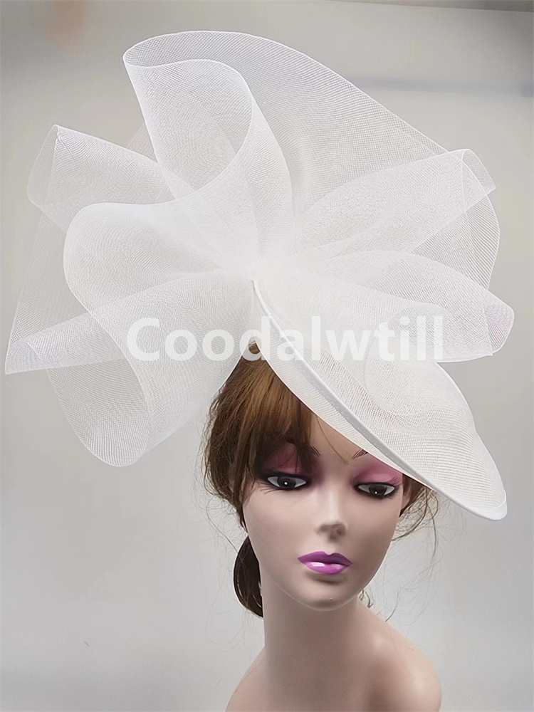 Kentucky Derby Big Hair Fascin - Women'S Fashion Kentucky Derby recensie en prijs