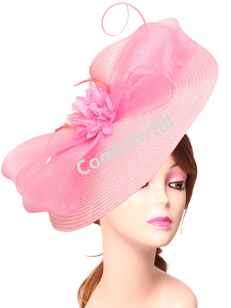 Elegante Tea Party Fascinator  - Women'S Fashion Kentucky Derby recensie en prijs